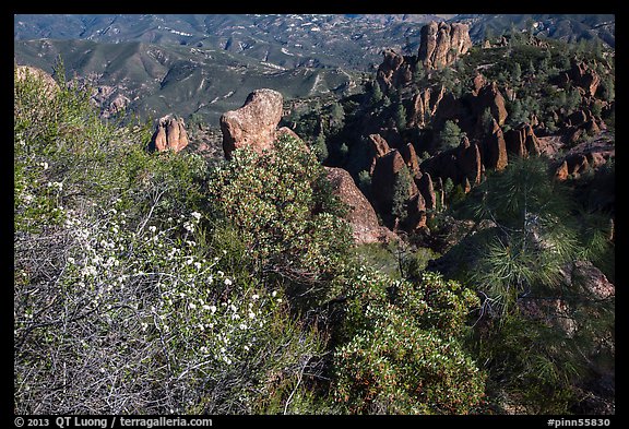 Blooms and pinnacles in spring. Pinnacles National Park, California, USA.