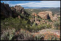 West side rock formations and spring wildflowers. Pinnacles National Park, California, USA. (color)