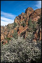 Spring blooms and high peaks from Juniper Canyon. Pinnacles National Park, California, USA.