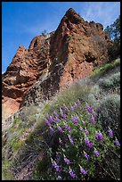 Lupine and rock towers. Pinnacles National Park, California, USA. (color)