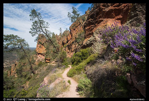 Juniper Canyon trail in spring. Pinnacles National Park, California, USA.