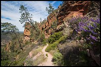 Juniper Canyon trail in spring. Pinnacles National Park, California, USA.