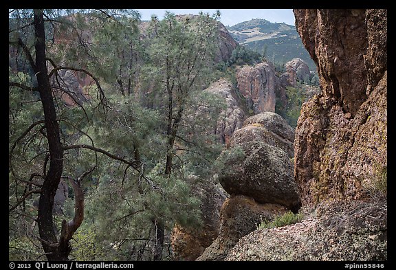 Andesite rock formations. Pinnacles National Park, California, USA.