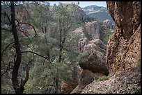 Andesite rock formations. Pinnacles National Park ( color)