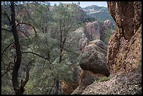 Andesite rock formations. Pinnacles National Park, California, USA. (color)