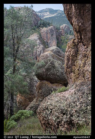 Andesite outcrops. Pinnacles National Park, California, USA.