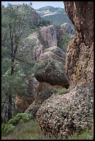 Andesite outcrops. Pinnacles National Park, California, USA.