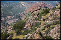 Carpets of spring wildflowers amongst rocks. Pinnacles National Park ( color)