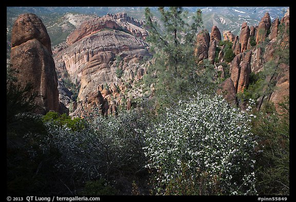 Blooms and Balconies cliffs. Pinnacles National Park, California, USA.