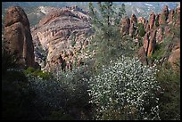 Blooms and Balconies cliffs. Pinnacles National Park ( color)