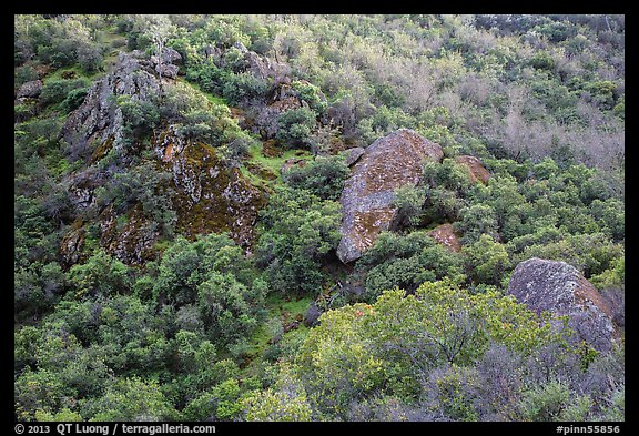 Hillside and rocks in spring. Pinnacles National Park, California, USA.