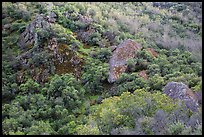 Hillside and rocks in spring. Pinnacles National Park, California, USA.