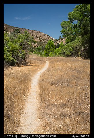 South Wilderness trail. Pinnacles National Park, California, USA.