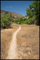 South Wilderness trail. Pinnacles National Park, California, USA. (color)