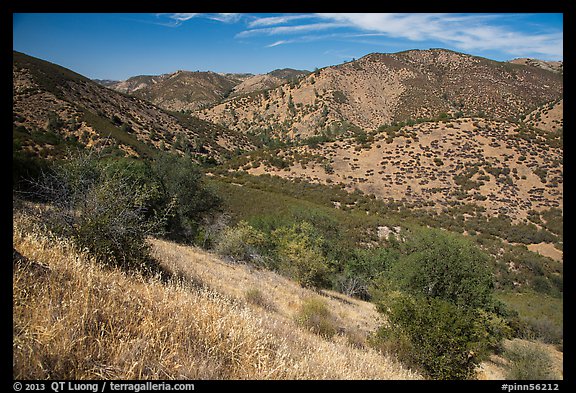 Valley, South Wilderness. Pinnacles National Park (color)