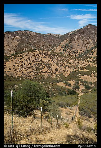 Looking down boundary fence. Pinnacles National Park, California, USA.