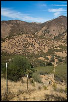 Looking down boundary fence. Pinnacles National Park, California, USA. (color)