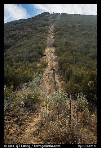 Pig fence climbing steep hill. Pinnacles National Park, California, USA.