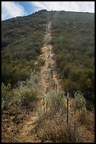 Pig fence climbing steep hill. Pinnacles National Park, California, USA.