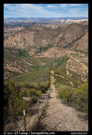 Looking down pig exclusion fence. Pinnacles National Park (color)
