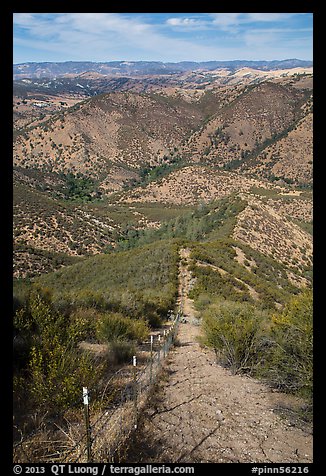 Looking down pig exclusion fence. Pinnacles National Park, California, USA.