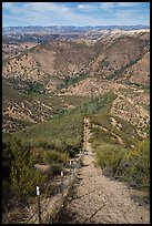 Looking down pig exclusion fence. Pinnacles National Park, California, USA. (color)