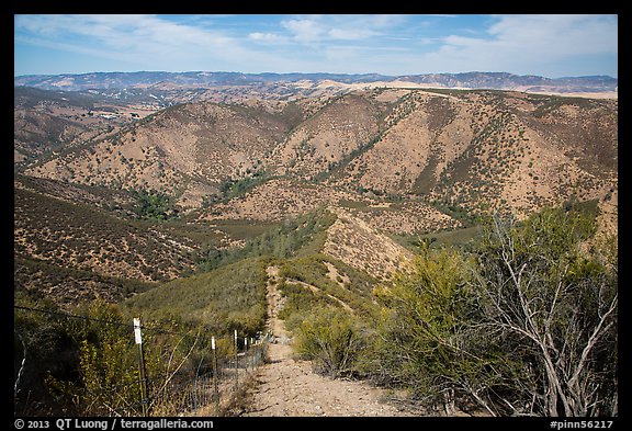 Steep hill and pig exclusion fence. Pinnacles National Park, California, USA.