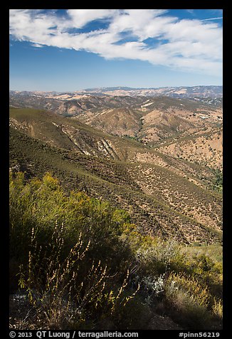 Chaparal-covered hills. Pinnacles National Park, California, USA.