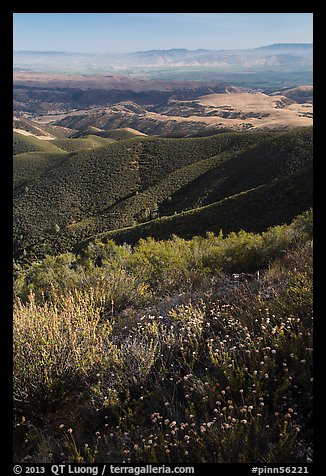 View from South Chalone Peak with wildflowers. Pinnacles National Park, California, USA.