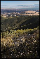 View from South Chalone Peak with wildflowers. Pinnacles National Park ( color)