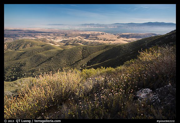 Wildflowers and Salinas Valley. Pinnacles National Park (color)