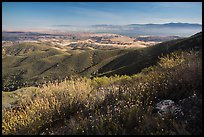 Wildflowers and Salinas Valley. Pinnacles National Park, California, USA. (color)