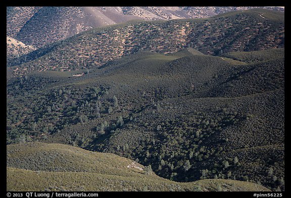 Forested hills seen from above. Pinnacles National Park (color)