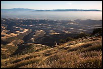 Grasses, hills, and Salinas Valley. Pinnacles National Park, California, USA. (color)