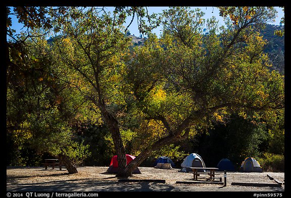 Campground. Pinnacles National Park (color)