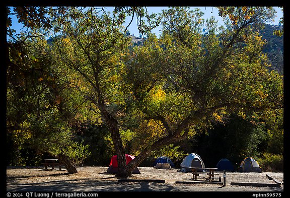 Campground. Pinnacles National Park, California, USA.