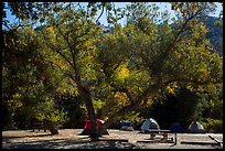 Campground. Pinnacles National Park ( color)