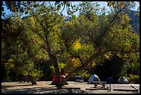 Campground. Pinnacles National Park, California, USA.