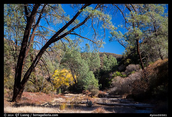 Dry Chalone Creek along Old Pinnacles Trail in autumn. Pinnacles National Park, California, USA.