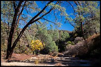 Dry Chalone Creek along Old Pinnacles Trail in autumn. Pinnacles National Park, California, USA.