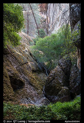 Creek and rocks near Balconies Cave. Pinnacles National Park (color)