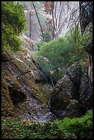 Creek and rocks near Balconies Cave. Pinnacles National Park ( color)