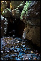 Stream and boulders, Bear Gulch Lower Cave. Pinnacles National Park ( color)