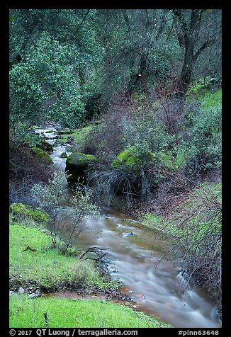 Bear Creek flowing. Pinnacles National Park (color)