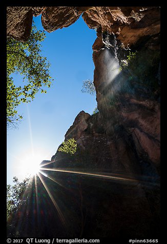 Sun and Moses Spring waterfall, looking up. Pinnacles National Park (color)