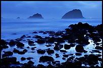 Rocks and sea stacks, blue hour, False Klamath Cove. Redwood National Park, California, USA. (color)