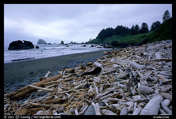 Driftwood, Hidden Beach. Redwood National Park (color)