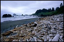 Driftwood, Hidden Beach. Redwood National Park, California, USA.