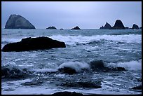 Seastacks and surf in foggy weather, Hidden Beach. Redwood National Park, California, USA. (color)