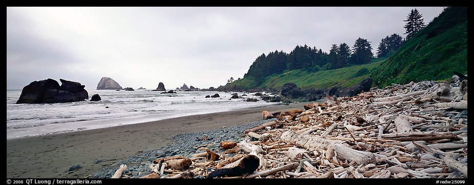 Beach with driftwood. Redwood National Park (color)